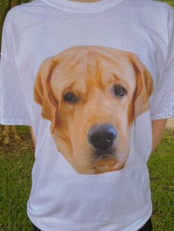 dog_tee.JPG Thumbnail
