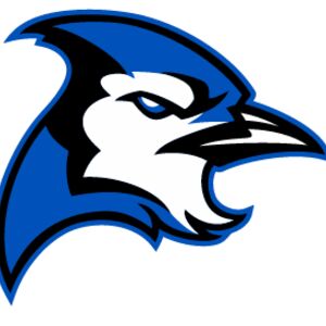 golbow bluejay Thumbnail