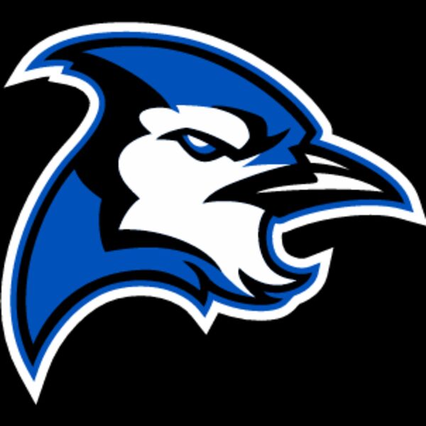 golbow bluejay Thumbnail