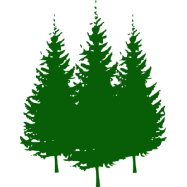 Pine Trees Thumbnail