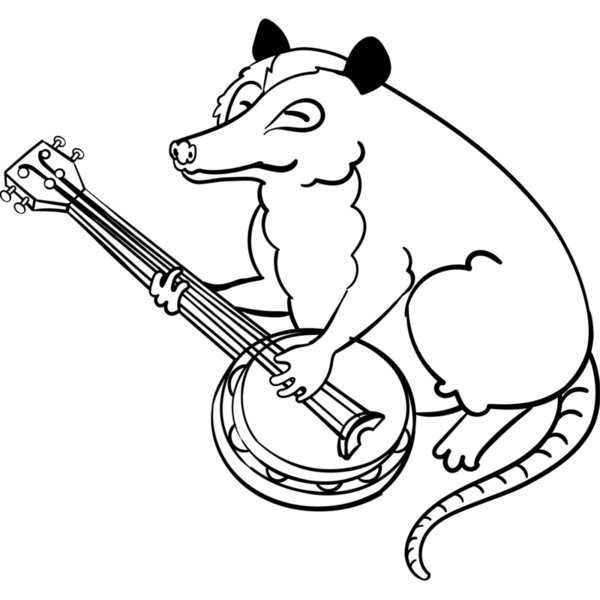 Possum playing banjo Thumbnail