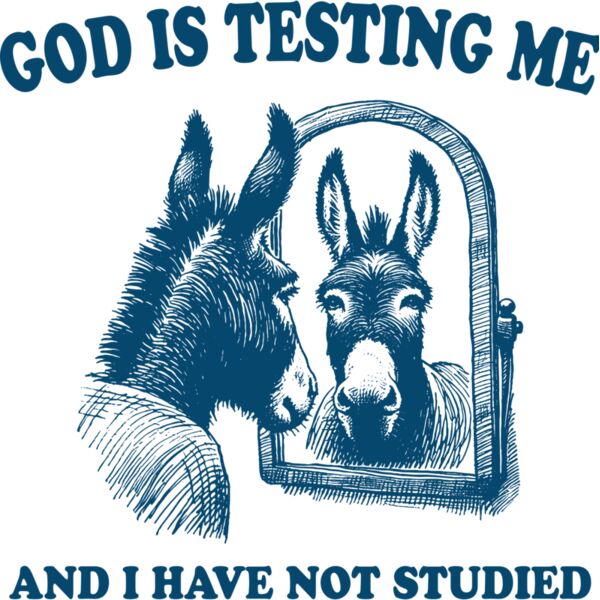 God is Testing Me Donkey in Mirror Thumbnail