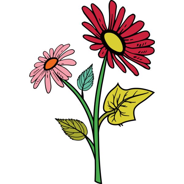 Colorful Flower Thumbnail