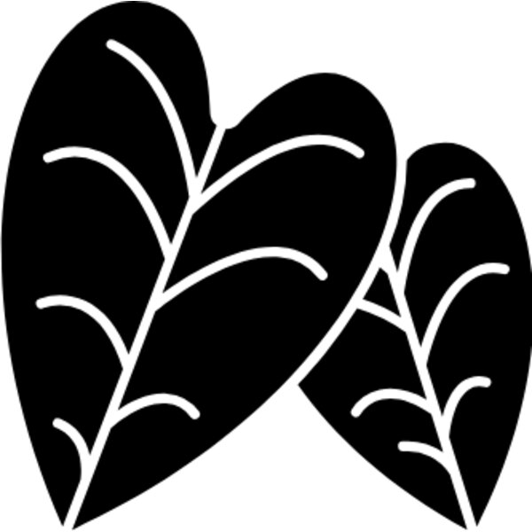 Alocasia Thumbnail