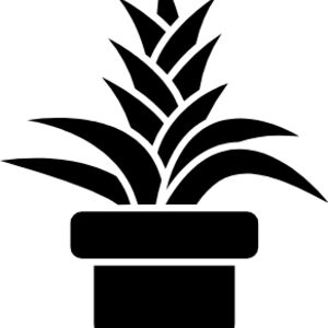 Bromeliaceae (bromeliads) Thumbnail