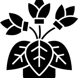 Cyclamen Thumbnail