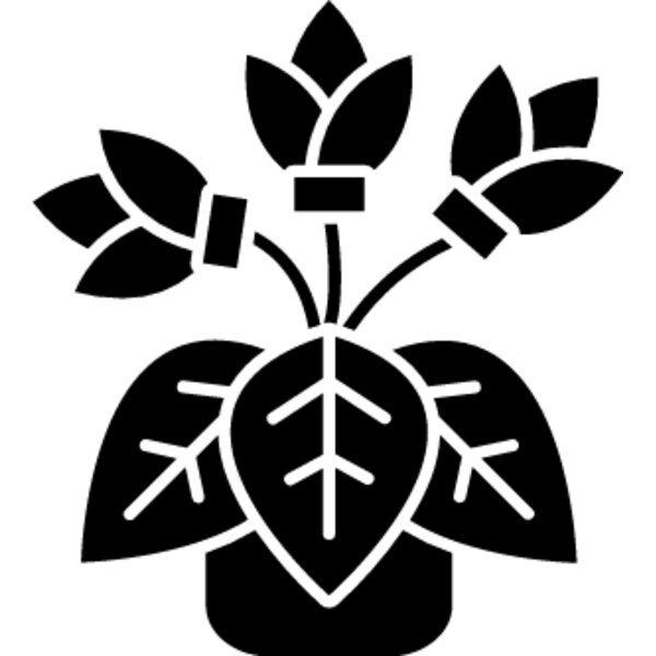 Cyclamen Thumbnail