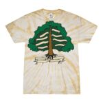 Custom Printed - Spider Tie Dye Tees - Adult & Youth Thumbnail