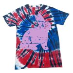Spiral Tie Dye Tees - Adult & Youth Thumbnail