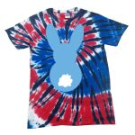 Spiral Tie Dye Tees - Adult & Youth Thumbnail