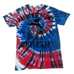 Spiral Tie Dye Tees - Adult & Youth Thumbnail
