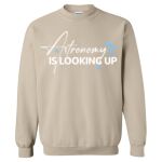 Heavy Blend Crewneck Gildan Sweatshirt Thumbnail