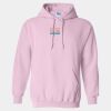 Heavy Blend Hooded Sweatshirt Thumbnail