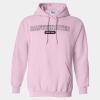 Heavy Blend Hooded Sweatshirt Thumbnail