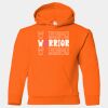 Heavy Blend Youth Hooded Sweatshirt Thumbnail