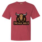 Garment-Dyed Heavyweight Comfort Colors® T-Shirt Thumbnail