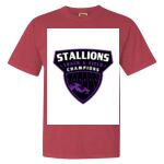 Garment-Dyed Heavyweight Comfort Colors® T-Shirt Thumbnail