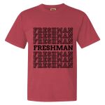 Garment-Dyed Heavyweight Comfort Colors® T-Shirt Thumbnail