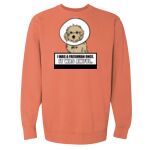 Garment-Dyed Sweatshirt Thumbnail