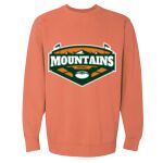 Garment-Dyed Sweatshirt Thumbnail