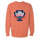 Garment-Dyed Sweatshirt Thumbnail