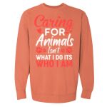 Garment-Dyed Sweatshirt Thumbnail