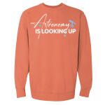 Garment-Dyed Sweatshirt Thumbnail