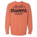 Garment-Dyed Sweatshirt Thumbnail