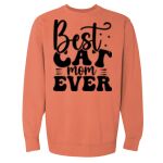 Garment-Dyed Sweatshirt Thumbnail