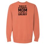 Garment-Dyed Sweatshirt Thumbnail