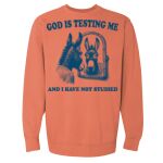 Garment-Dyed Sweatshirt Thumbnail