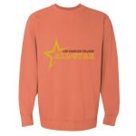 Garment-Dyed Sweatshirt Thumbnail