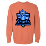 Garment-Dyed Sweatshirt Thumbnail