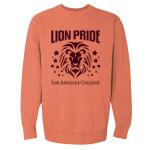 Garment-Dyed Sweatshirt Thumbnail