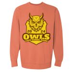 Garment-Dyed Sweatshirt Thumbnail