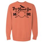 Garment-Dyed Sweatshirt Thumbnail