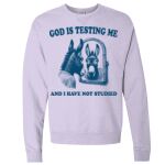 Unisex Garment-Dyed Crewneck Sweatshirt Thumbnail