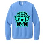 Unisex Sponge Fleece Raglan Sweatshirt Thumbnail