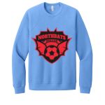 Unisex Sponge Fleece Raglan Sweatshirt Thumbnail