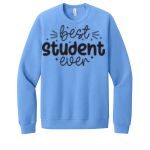 Unisex Sponge Fleece Raglan Sweatshirt Thumbnail