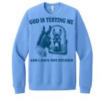 Unisex Sponge Fleece Raglan Sweatshirt Thumbnail