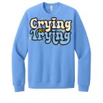 Unisex Sponge Fleece Raglan Sweatshirt Thumbnail