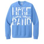Unisex Sponge Fleece Raglan Sweatshirt Thumbnail