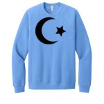 Unisex Sponge Fleece Raglan Sweatshirt Thumbnail