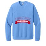 Unisex Sponge Fleece Raglan Sweatshirt Thumbnail
