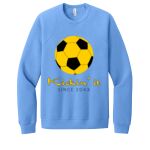 Unisex Sponge Fleece Raglan Sweatshirt Thumbnail